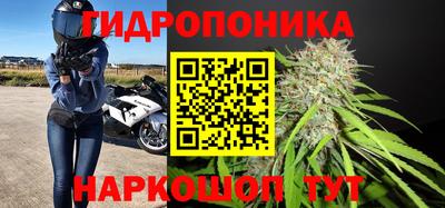 гашик Нягань