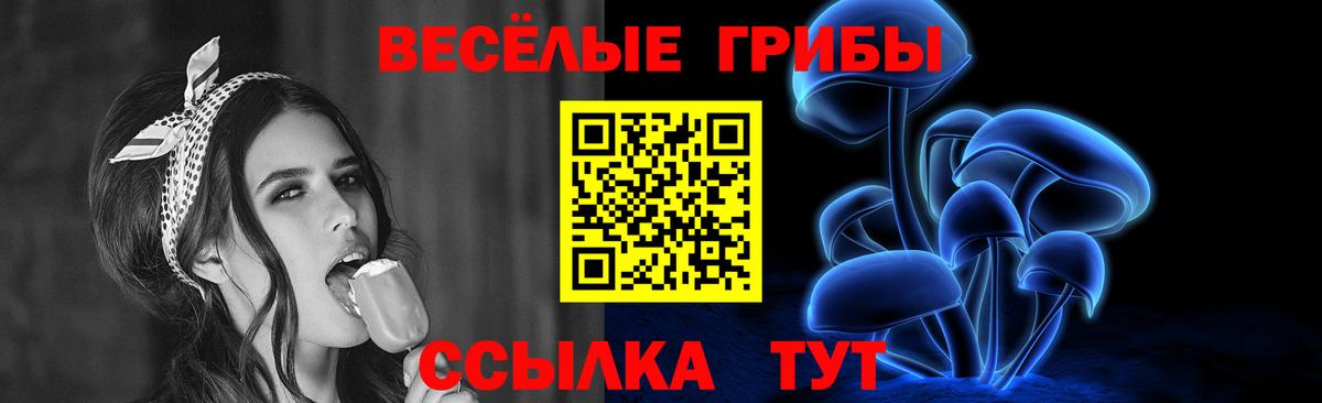 Тольятти  купить наркоту  Вход с VPN  Псилоцибиновые грибы Psilocybine cubensis 